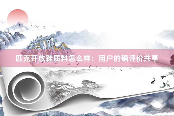 匹克开放鞋质料怎么样：用户的确评价共享